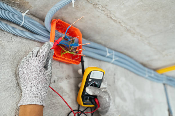 Best Electric Panel Repair  in Gypsum, CO
